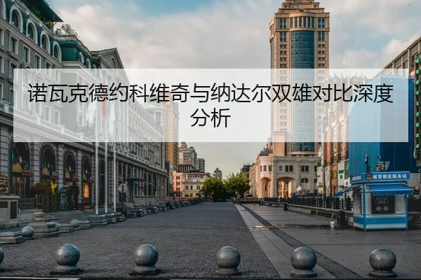 诺瓦克德约科维奇与纳达尔双雄对比深度分析