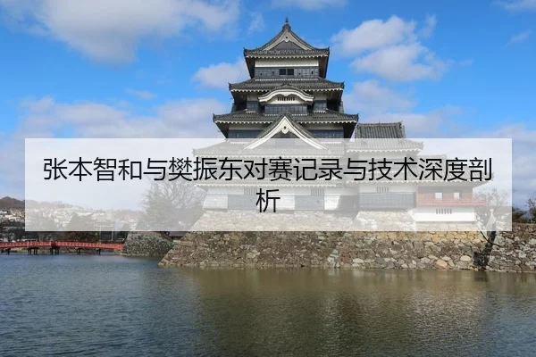 张本智和与樊振东对赛记录与技术深度剖析