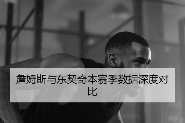 詹姆斯与东契奇本赛季数据深度对比